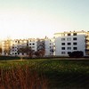Les Acacias